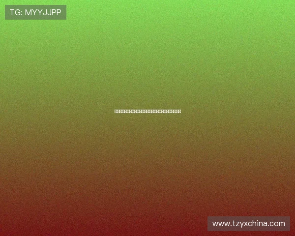 葡萄牙追授若塔勋位与功勋奖章并举行英雄广场揭幕仪式庆典